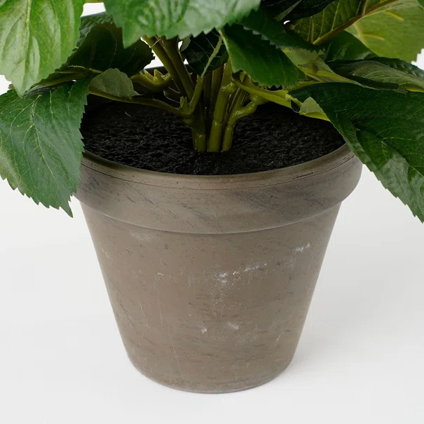 Τεχνητό Λουλούδι Σε Γλάστρα 45εκ. Edelman Hortensia Cream 947273