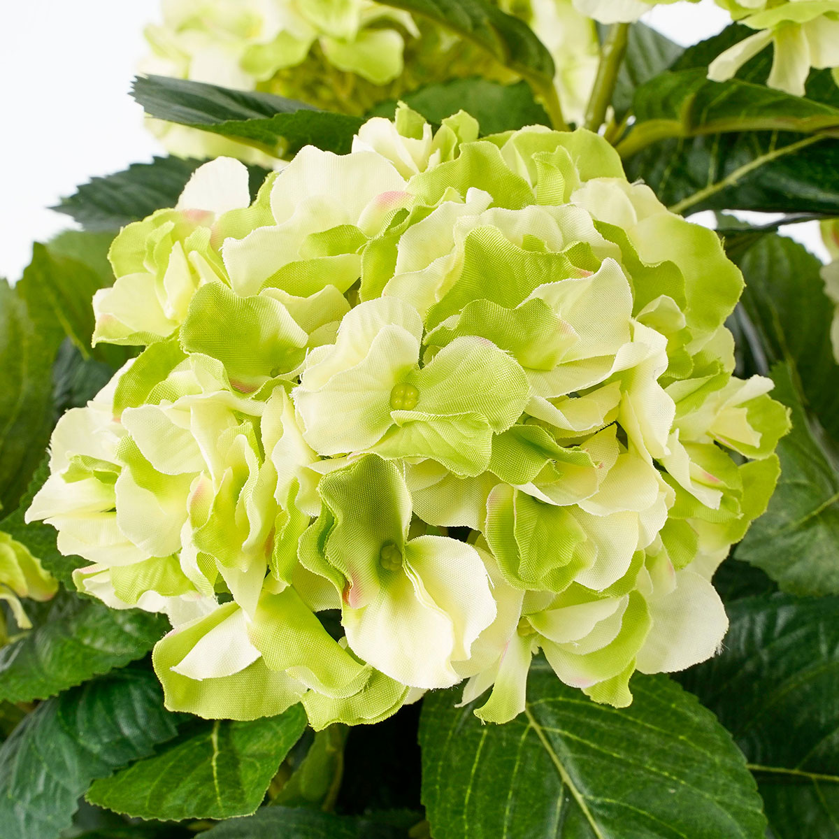 Τεχνητό Λουλούδι σε Γλάστρα 45Εκ Edelman Hortensia Cream 947273 Διακόσμηση Τεχνητά Φυτά - Λουλούδια Spitishop