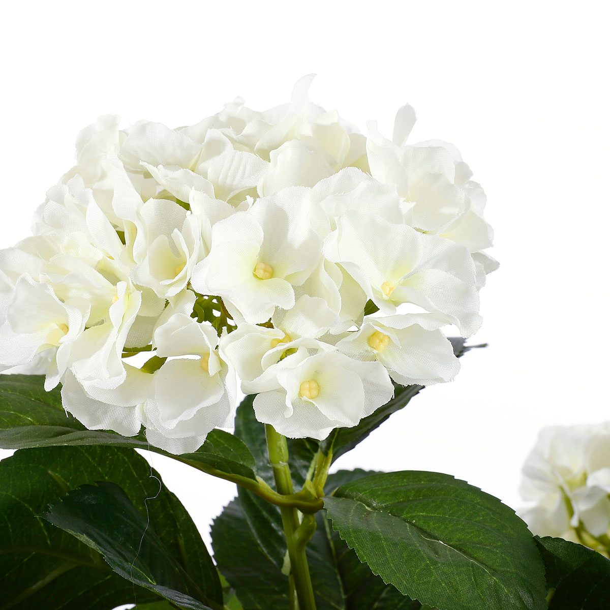 Τεχνητό Λουλούδι σε Γλάστρα 45Εκ Edelman Hortensia White 947278 Διακόσμηση Τεχνητά Φυτά - Λουλούδια Spitishop