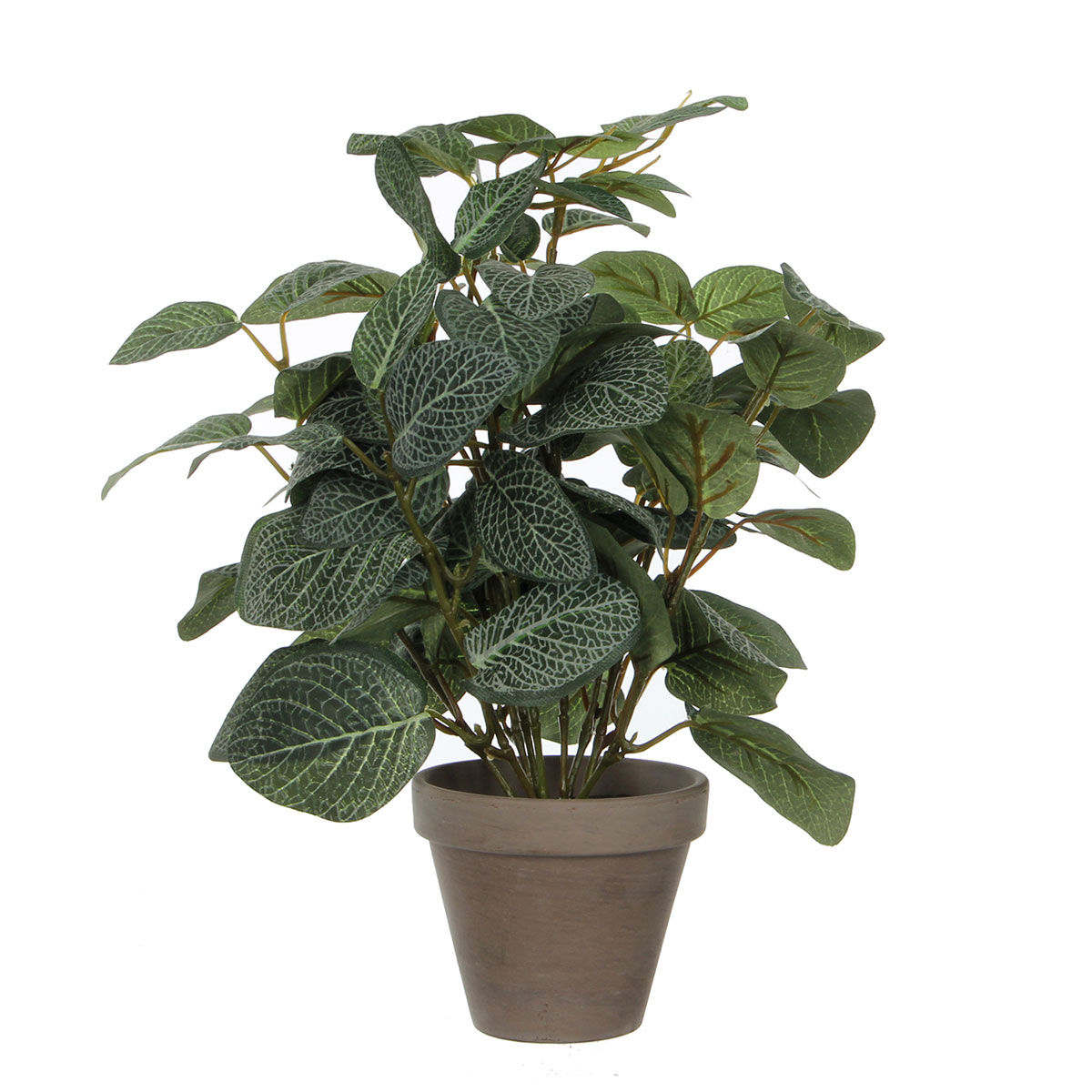 Τεχνητό Φυτό Σε Γλάστρα 35εκ. Edelman Pilea 966059