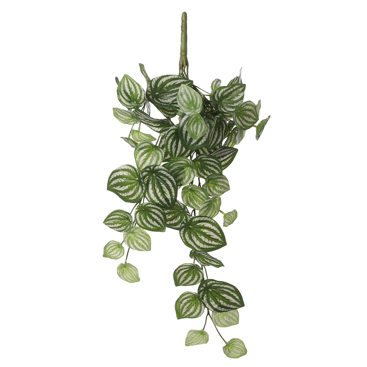 Τεχνητό Φυτό Κρεμαστό 58εκ. Edelman Peperomia L.Green 1074940