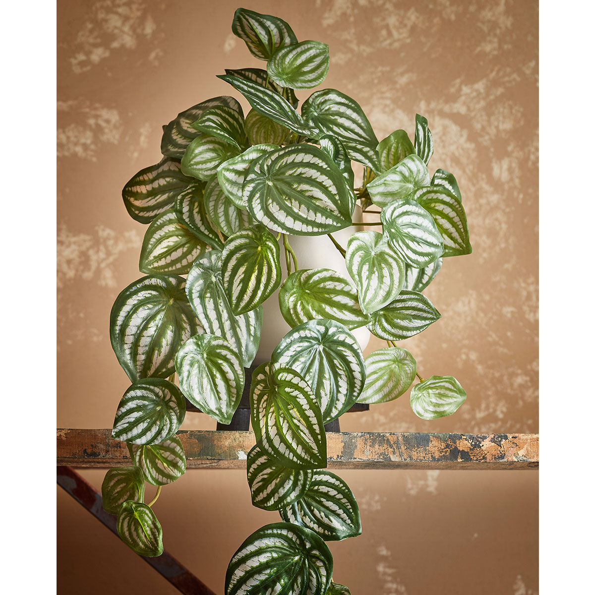 Τεχνητό Φυτό Κρεμαστό 58εκ. Edelman Peperomia L.Green 1074940