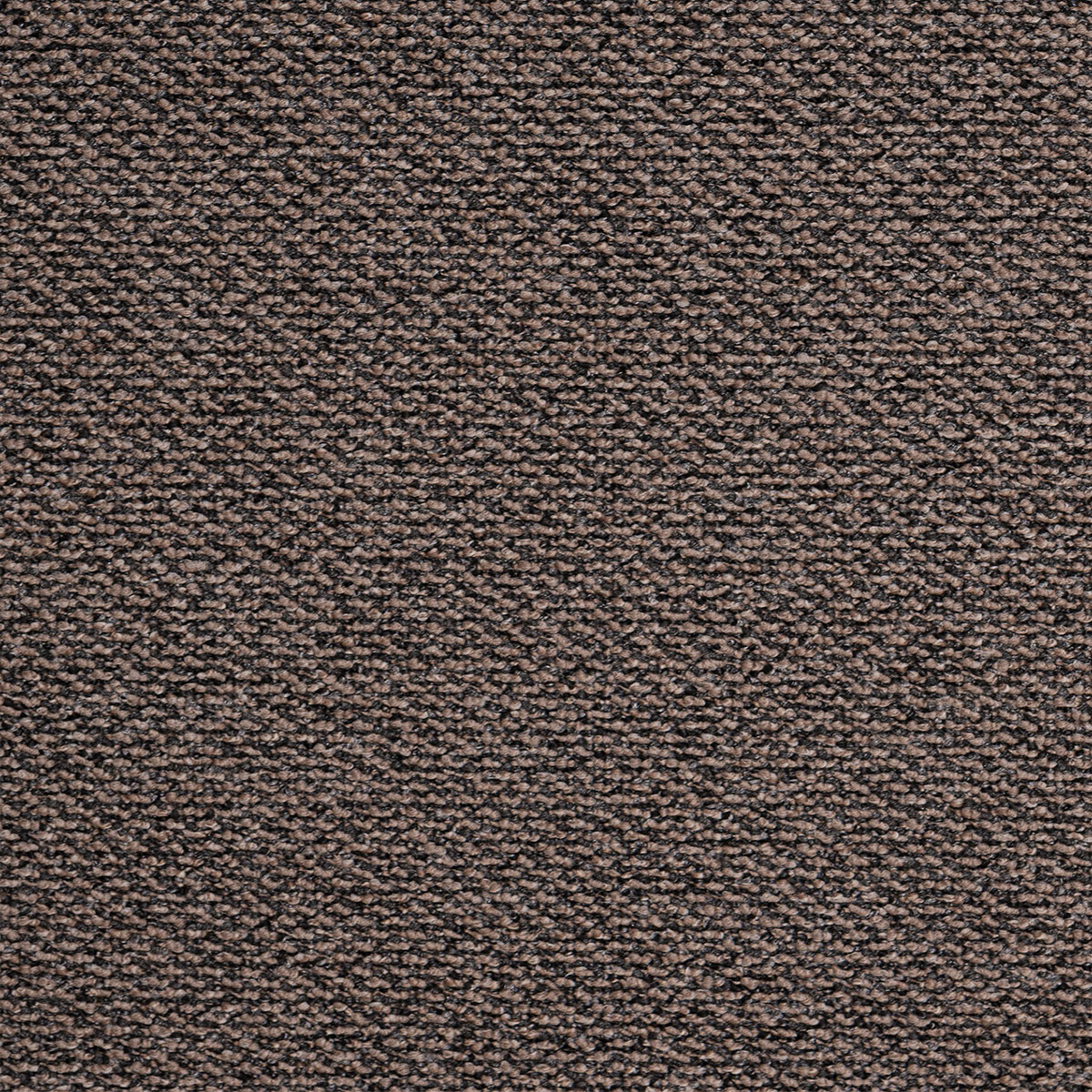 Μοκέτα (160X240) Βιοκαρπέτ Roho 49 Χαλιά Μοκέτες Spitishop