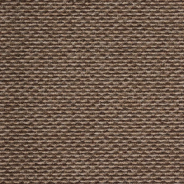 Μοκέτα (160x240) Βιοκαρπέτ Longa 93 Bruin