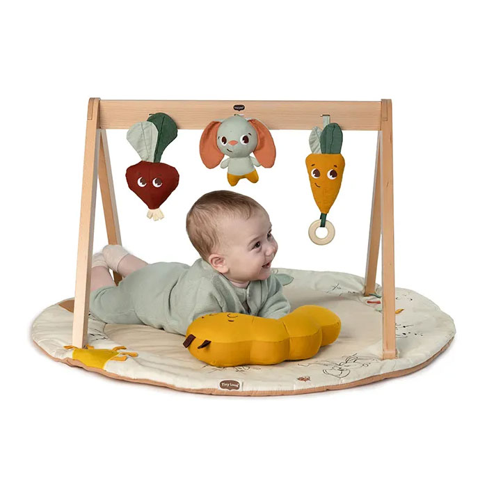 Ξύλινο Βρεφικό Γυμναστήριο Tiny Love Gymini Garden Of Adventures BR78596