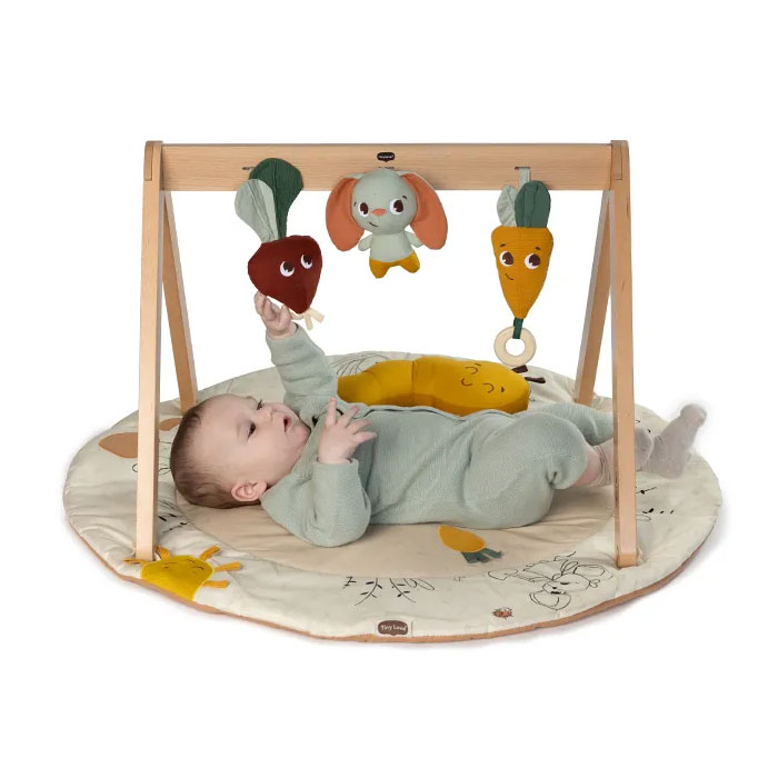 Ξύλινο Βρεφικό Γυμναστήριο Tiny Love Gymini Garden Of Adventures BR78596