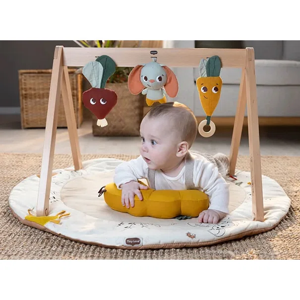 Ξύλινο Βρεφικό Γυμναστήριο Tiny Love Gymini Garden Of Adventures BR78596
