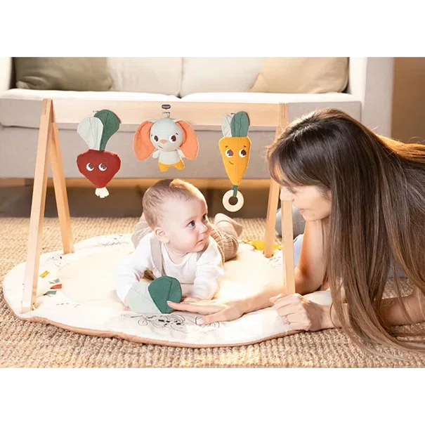Ξύλινο Βρεφικό Γυμναστήριο Tiny Love Gymini Garden Of Adventures BR78596