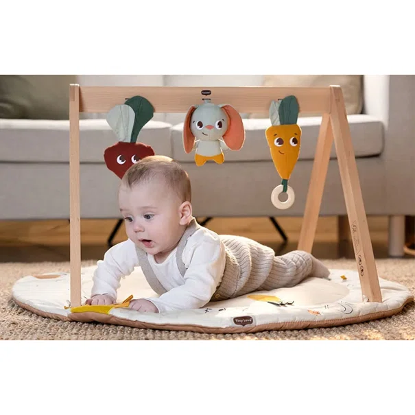 Ξύλινο Βρεφικό Γυμναστήριο Tiny Love Gymini Garden Of Adventures BR78596