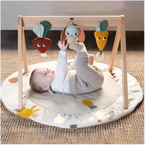 Ξύλινο Βρεφικό Γυμναστήριο Tiny Love Gymini Garden Of Adventures BR78596