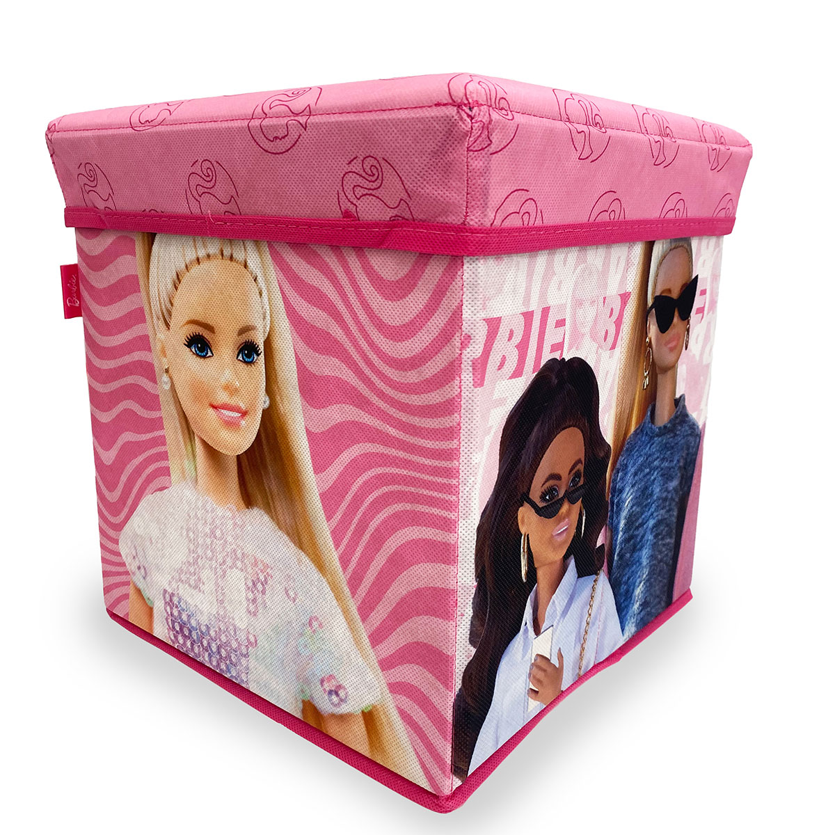 Σκαμπό Με Αποθηκευτικό Χώρο (30X30) Dimcol Barbie 15