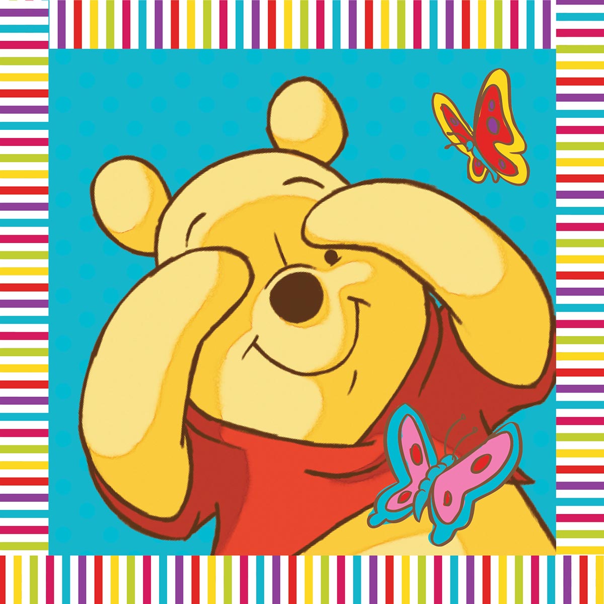Παιδικό Μαγικό Πετσετάκι (30x30) Dimcol Winnie 01
