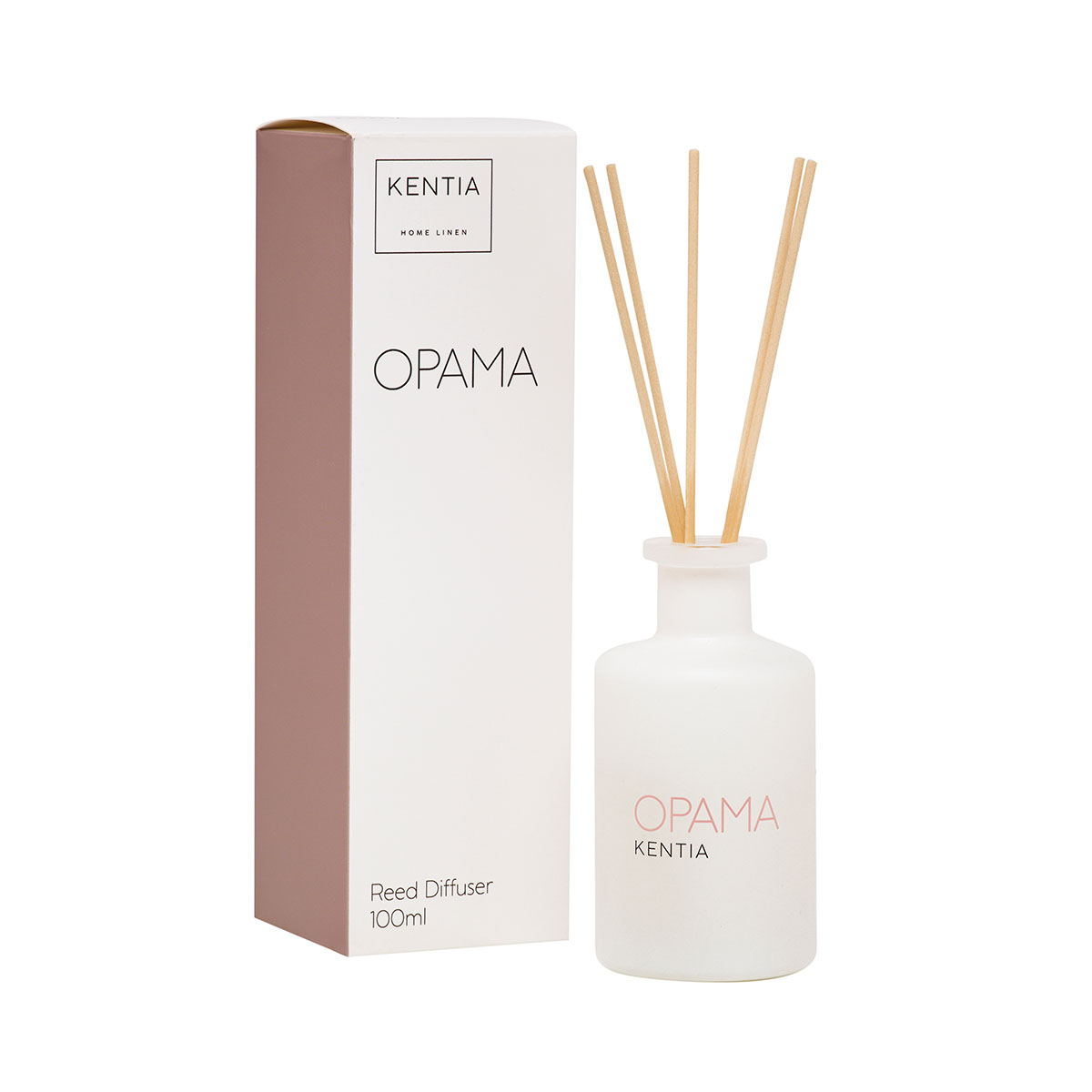 Αρωματικό Χώρου 100ml Με Στικς Kentia Mood Όραμα
