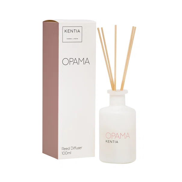 Αρωματικό Χώρου 100ml Με Στικς Kentia Mood Όραμα