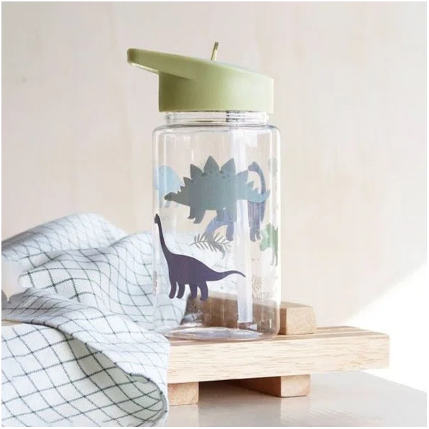 Παγούρι 450ml Με Καλαμάκι Α Little Lovely Company Dinosaurs DBDIGR33
