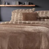 Ώχρα