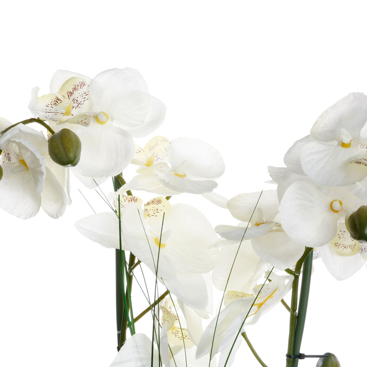 Τεχνητό Λουλούδι σε Γλάστρα (Φ47X56) A-S White Orchid 136510B Διακόσμηση Τεχνητά Φυτά - Λουλούδια Spitishop