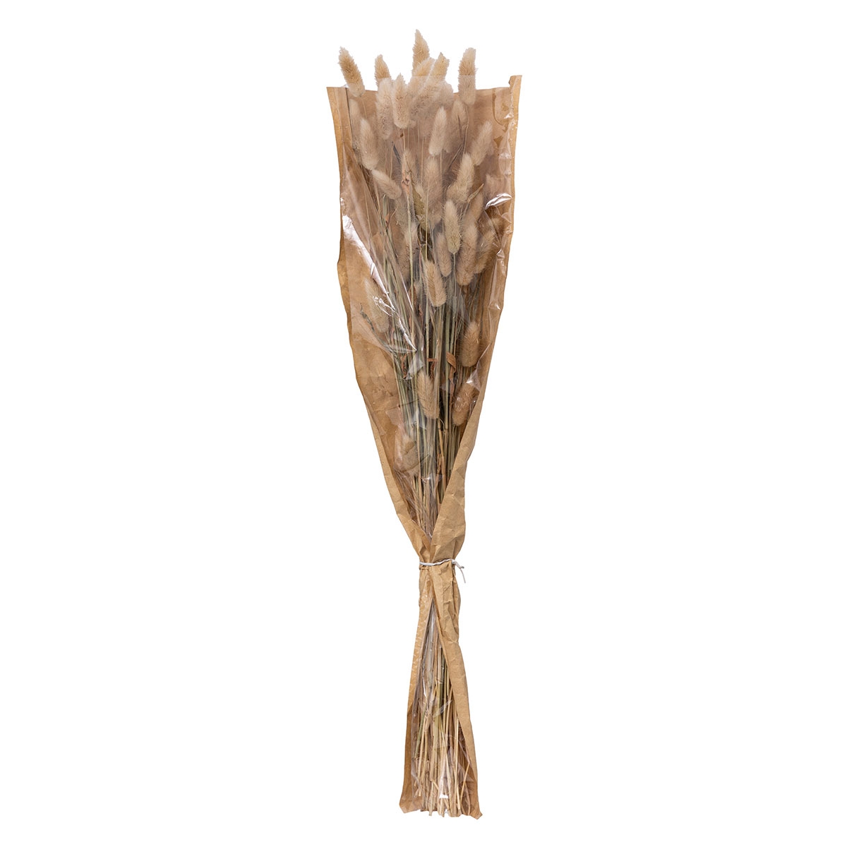 Αποξηραμένα Διακοσμητικά Κλαδιά 58εκ. A-S Bunny Tails Beige 189113