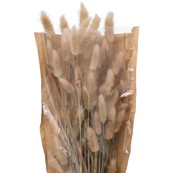 Αποξηραμένα Διακοσμητικά Κλαδιά 58εκ. A-S Bunny Tails Beige 189113