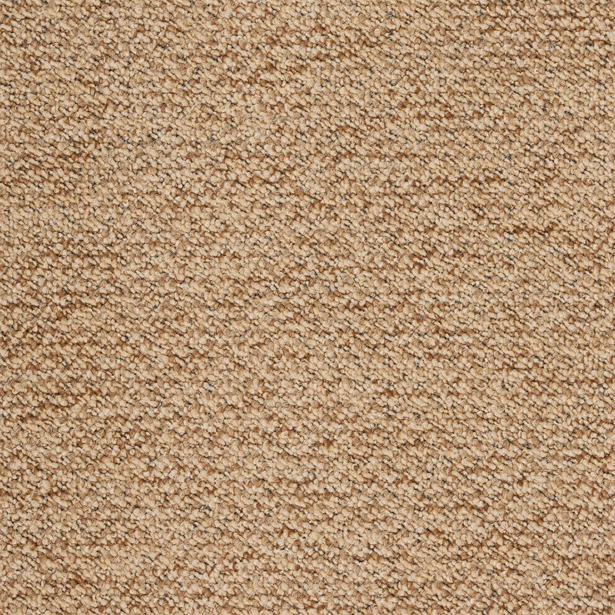 Μοκέτα (200X250) Βιοκαρπέτ Newton 63 M Beige Χαλιά Μοκέτες Spitishop