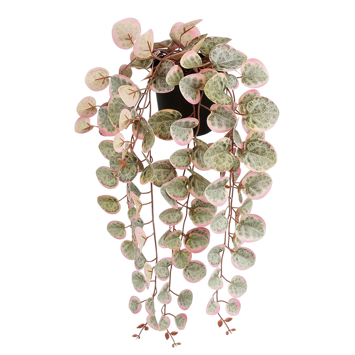 Τεχνητό Φυτό Σε Γλάστρα Κρεμαστό (Φ12x46) Edelman Ceropegia Pink 1151041