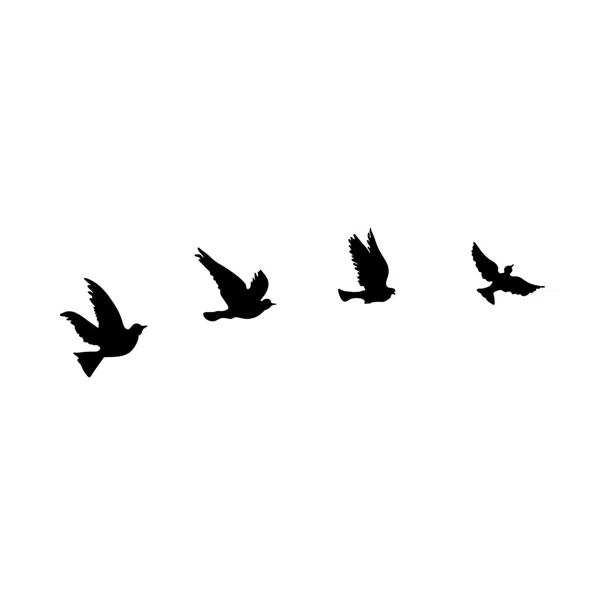 Διακοσμητικά Τοίχου (Σετ 4τμχ) A-G Pigeons 899SKL2355