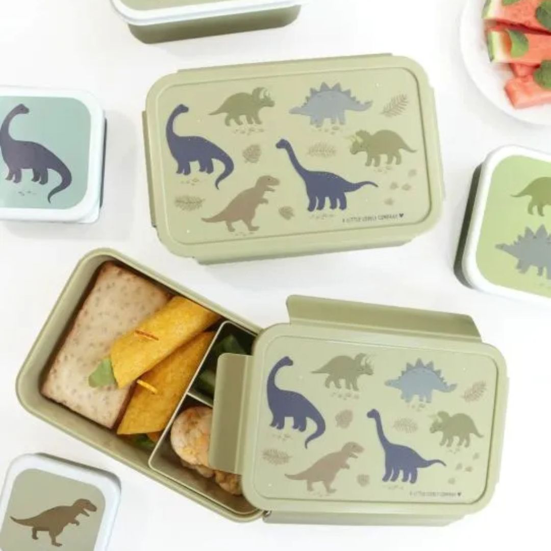 Φαγητοδοχείο με Χωρίσματα 1 2Lt (22X14 5X7) Α Little Lovely Company Dinosaurs Sbdigr58 Παιδικά Είδη Φαγητού & Αξεσουάρ Σερβιρίσματος Φαγητοδοχεία 