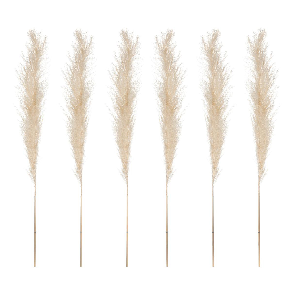 Αποξηραμένα Διακοσμητικά Κλαδιά 66εκ. Pampas (Σετ 6τμχ) A-S 179281