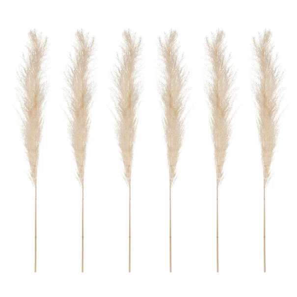 Αποξηραμένα Διακοσμητικά Κλαδιά 66εκ. Pampas (Σετ 6τμχ) A-S 179281