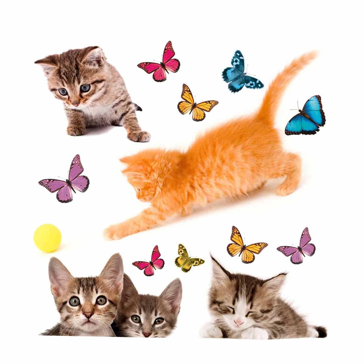 Αυτοκόλλητα Παραθύρου Διπλής Όψης Ango Cats 64001 Παιδικά Τοίχου Spitishop