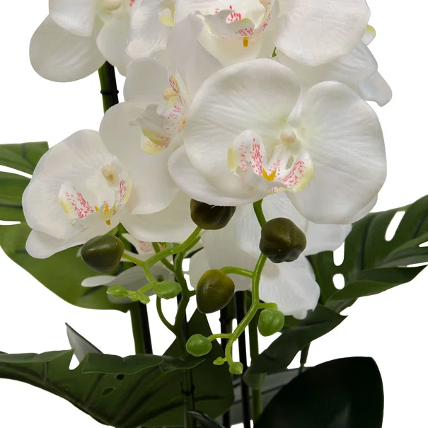 Τεχνητό Λουλούδι Σε Γλάστρα 81εκ. A-S Orchid Asia 214107
