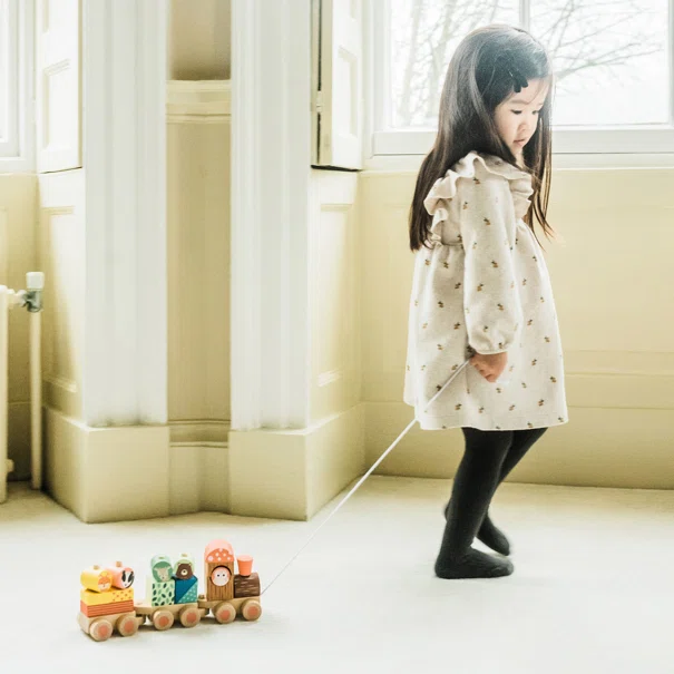 Ξύλινο Παιχνίδι Τρεχαλίτσα Orange Tree Toys Train 60-08098