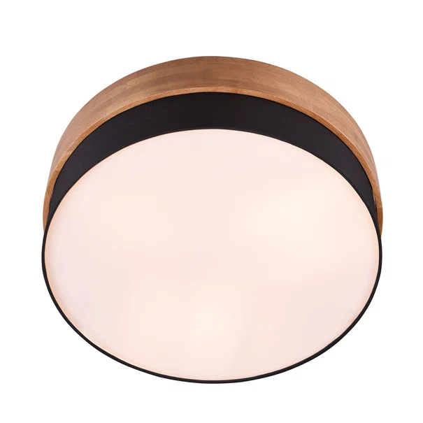Φωτιστικό Πλαφονιέρα Trio Lighting Seasons Black 611500302