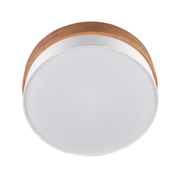 Φωτιστικό Πλαφονιέρα Trio Lighting Seasons White 611500301