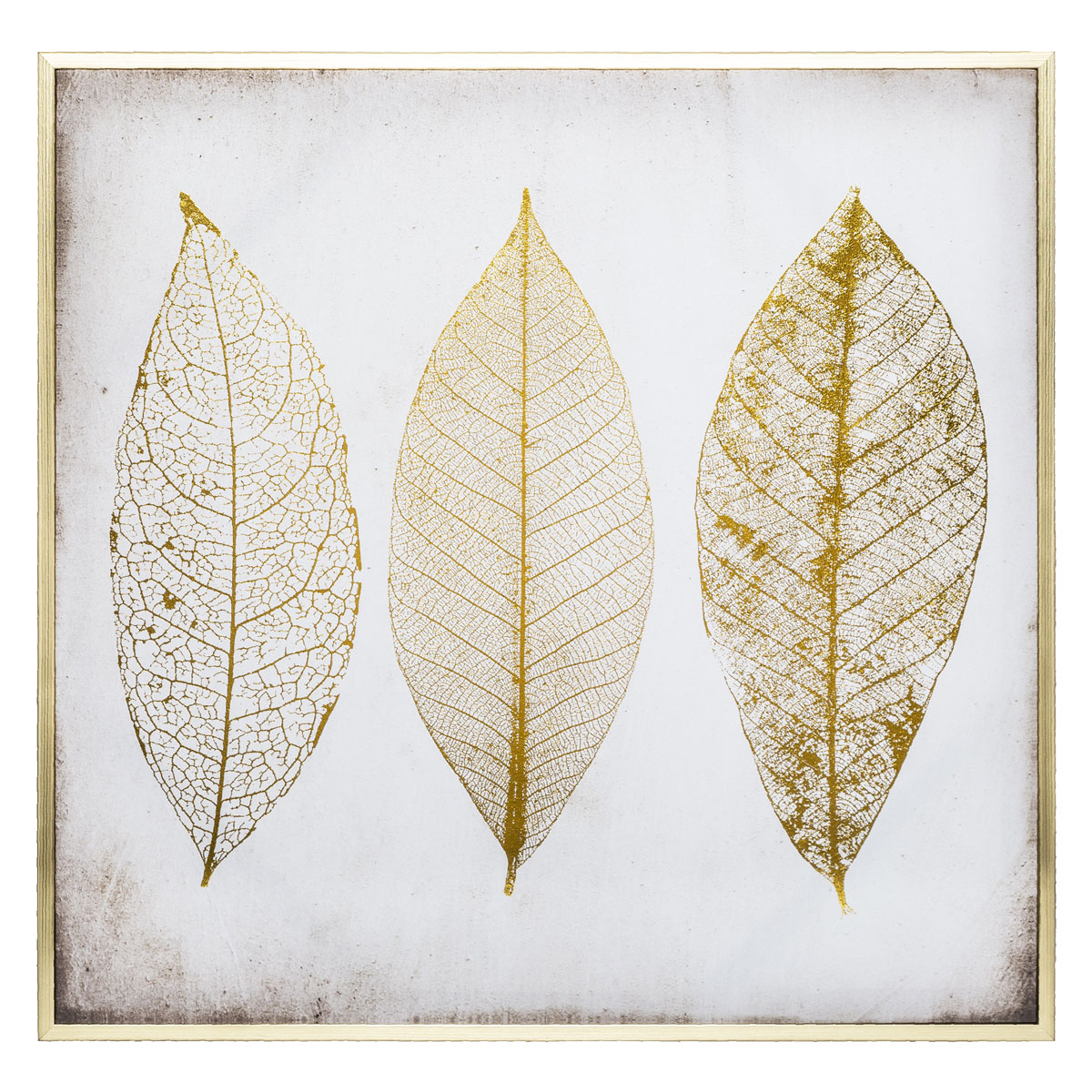 Πίνακας Με Κορνίζα (58x58) A-S Feather 166941