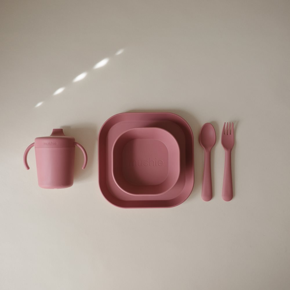Μπολ (Σετ 2Τμχ) Mushie Dusty Rose 66-102155 Παιδικά Είδη Φαγητού & Αξεσουάρ Σερβιρίσματος Βρεφικά Πιάτα - Spitishop