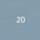 20 20