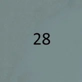 28 28