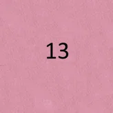 13 13
