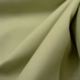 504 Olive 504 Olive