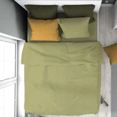 504 Olive 504 Olive