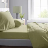 504 Olive 504 Olive