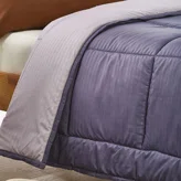 3-Purple 3-Purple
