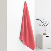 Fuchsia Fuchsia